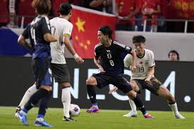 国内外众多