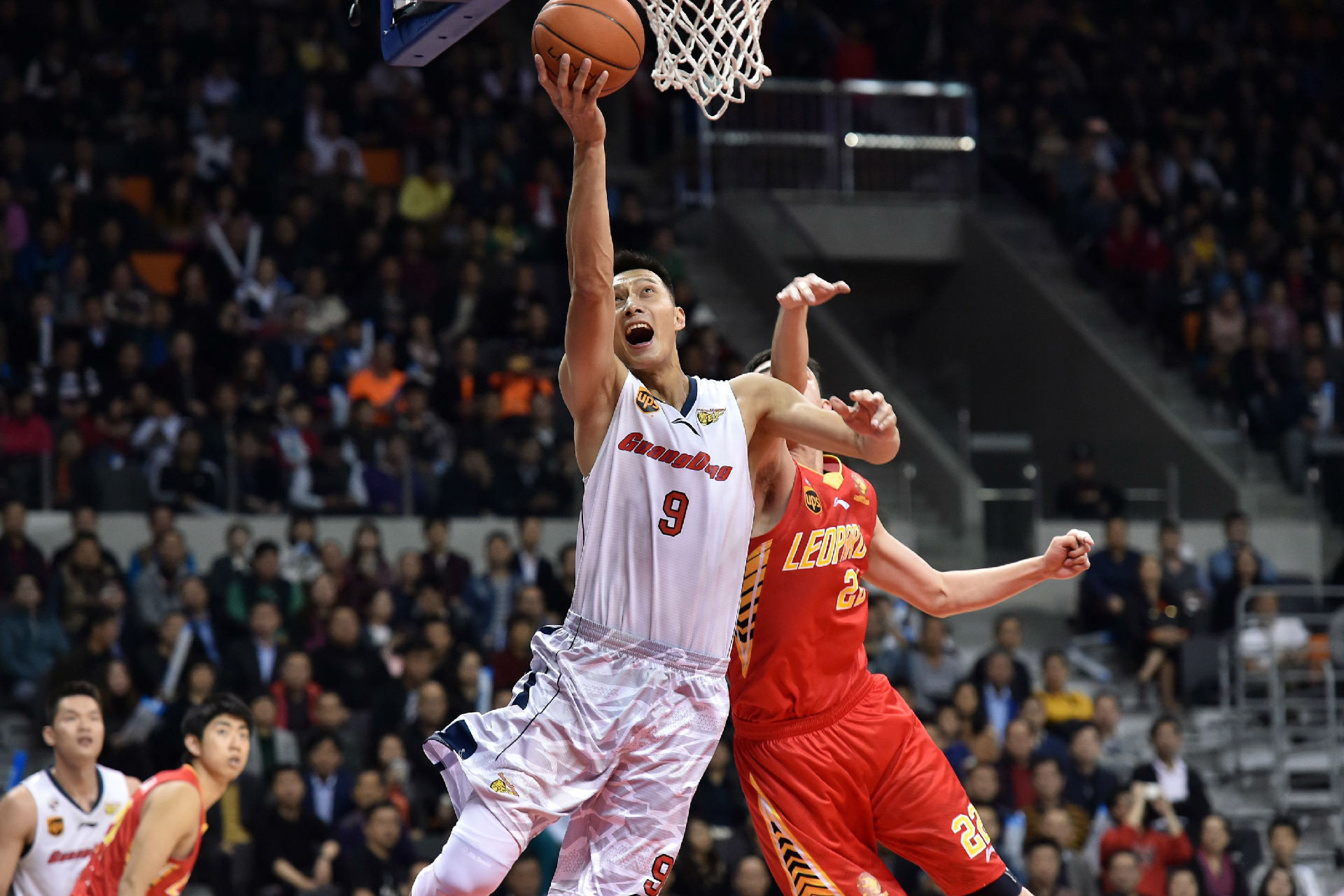 了行业的现 了行业的现